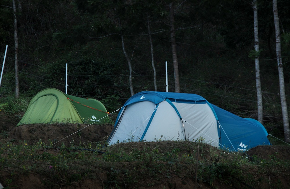 Wilderness Retreat Camp Marayoor 